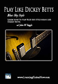 Download Blues Guitar Lesson