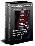 Blues Guitar Lessons DVD Method 2 & 3