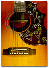 Gibson Hummingbird